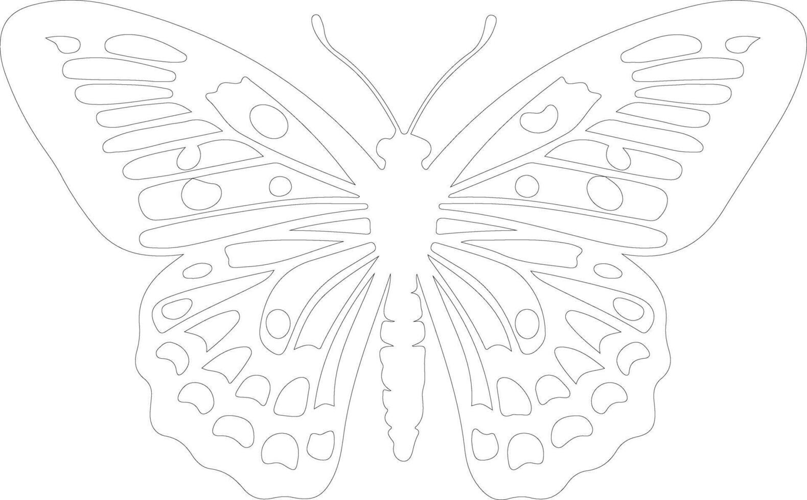 Oregon silverspot butterfly  outline silhouette vector
