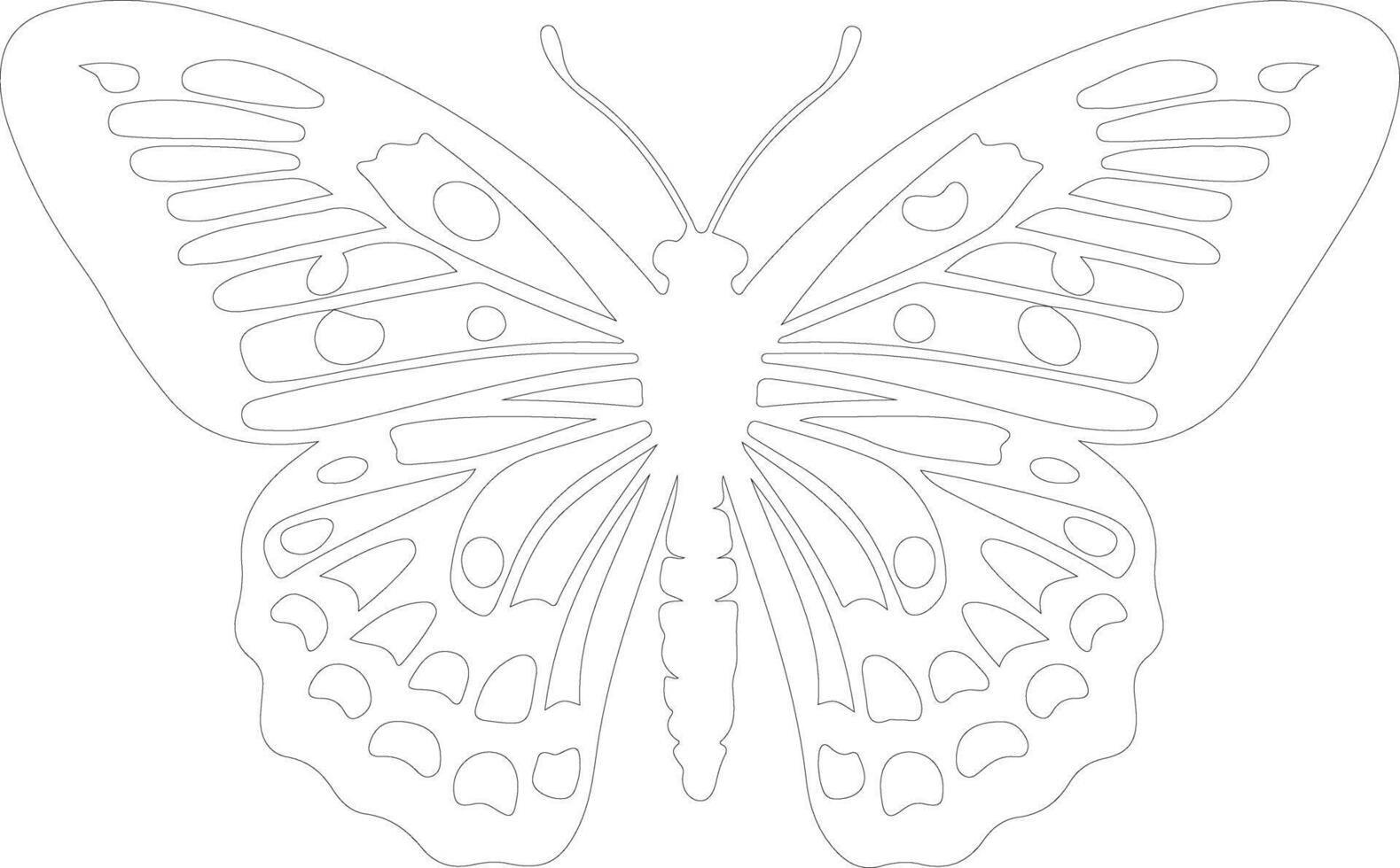 Oregon silverspot butterfly  outline silhouette vector