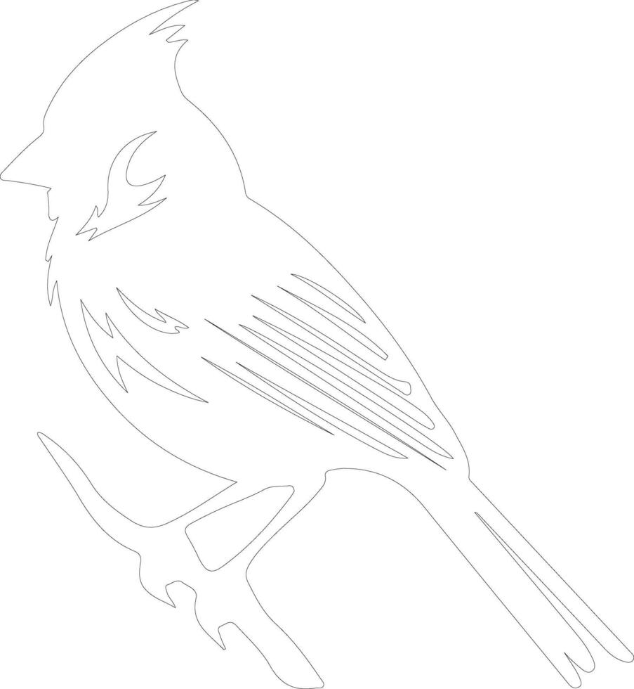 northern cardinal  outline silhouette vector