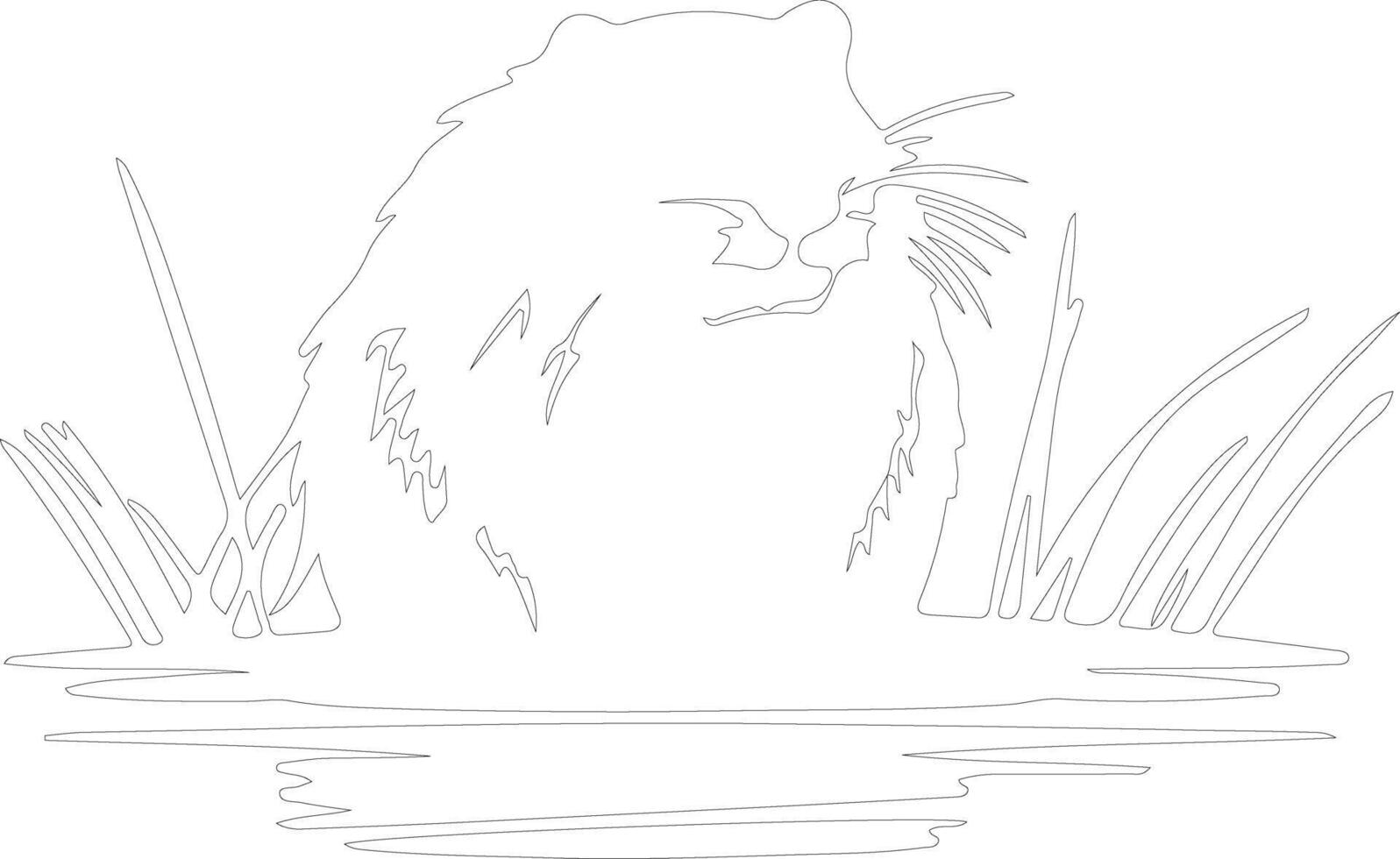 muskrat  outline silhouette vector