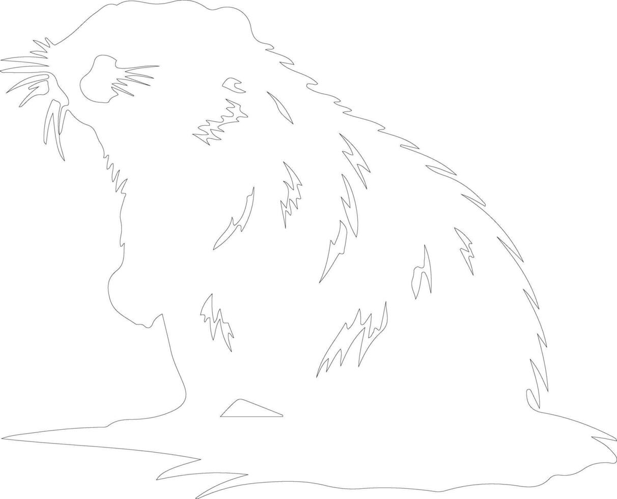 nutria contorno silueta vector