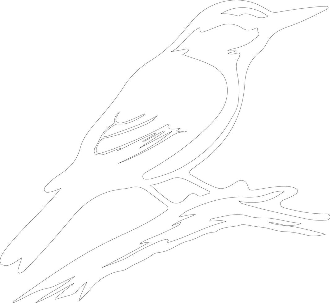 nuthatch  outline silhouette vector