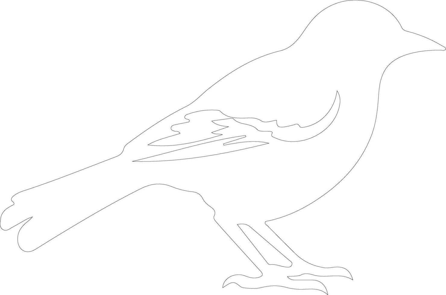 oriole  outline silhouette vector