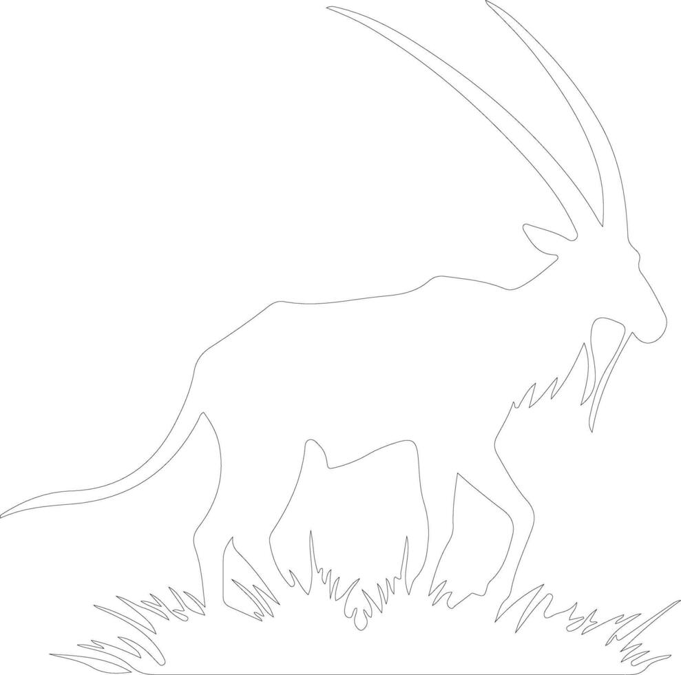 oryx  outline silhouette vector