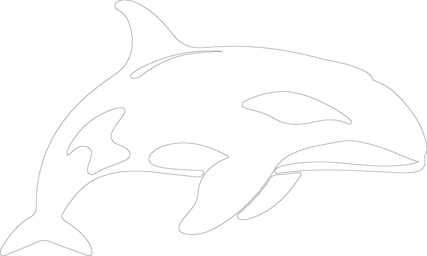killer whale  outline silhouette vector