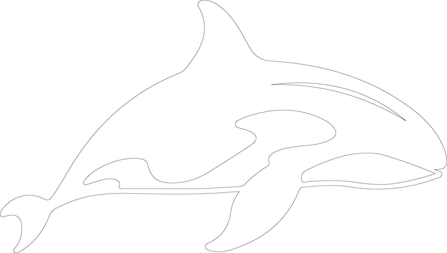 killer whale  outline silhouette vector