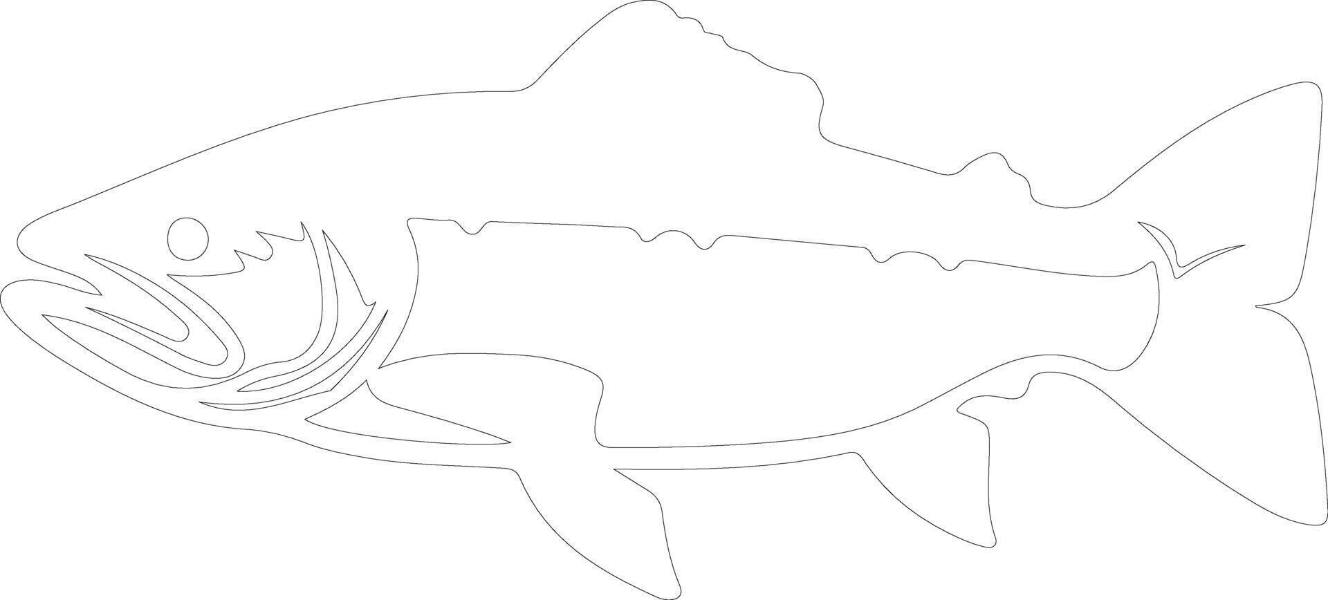 lake trout  outline silhouette vector