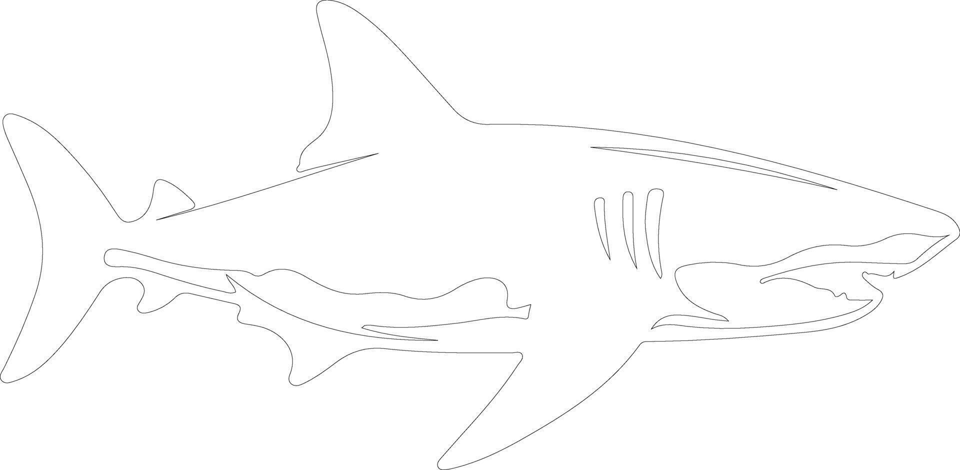 lemon shark  outline silhouette vector