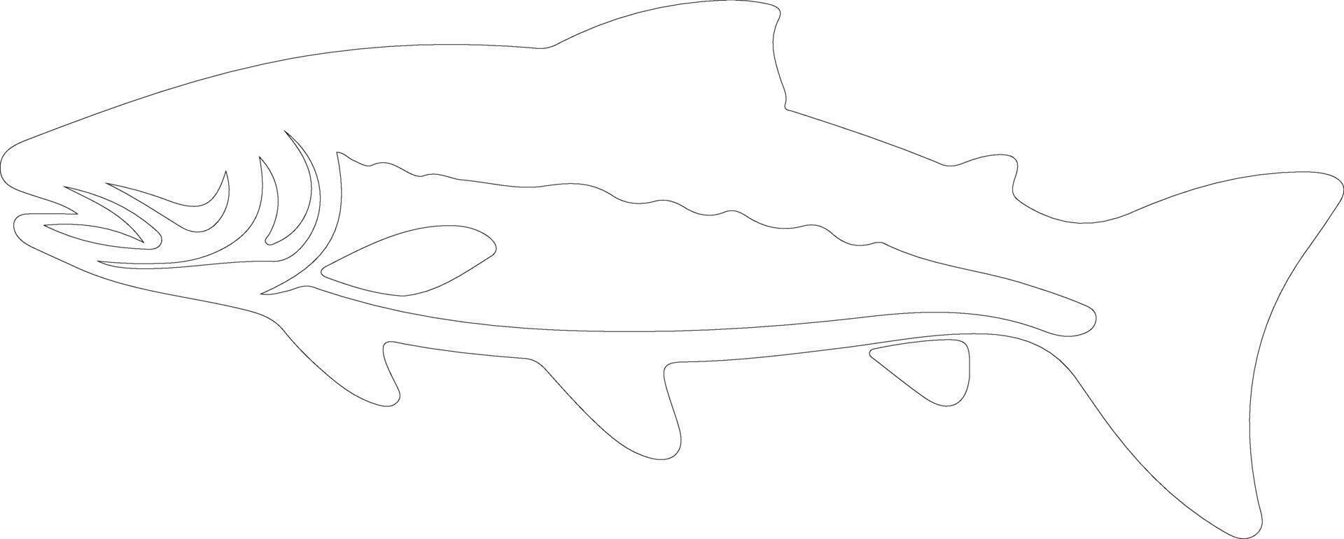 lake trout  outline silhouette vector