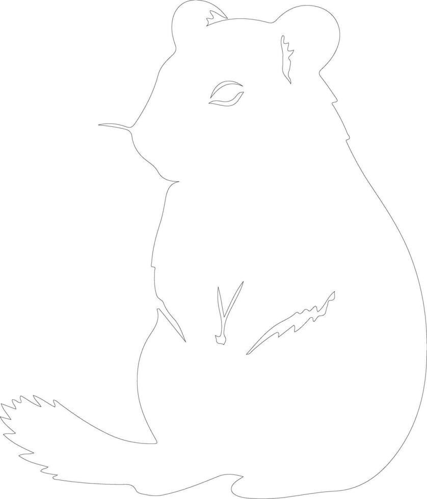 quokka    outline silhouette vector