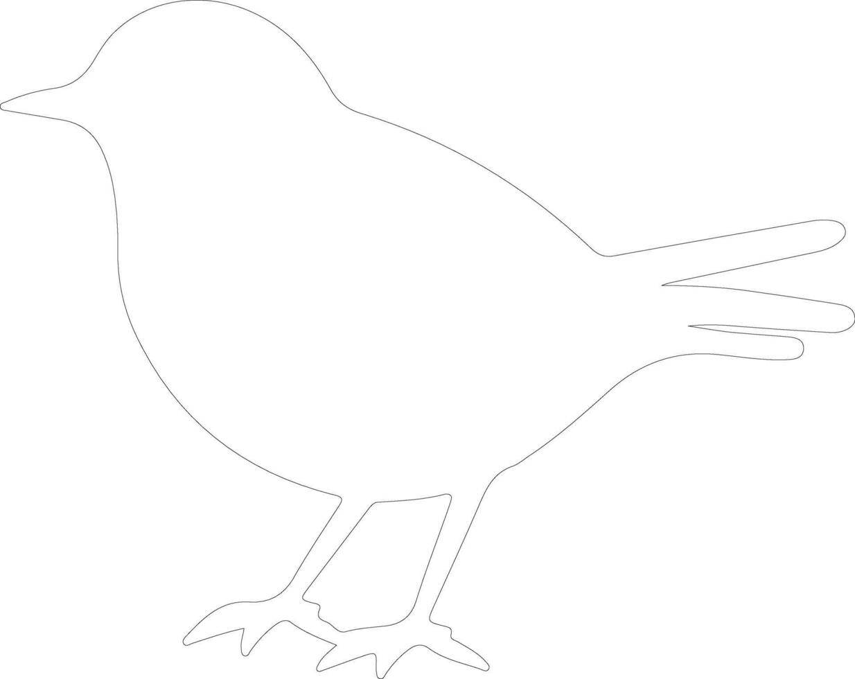 robin   outline silhouette vector