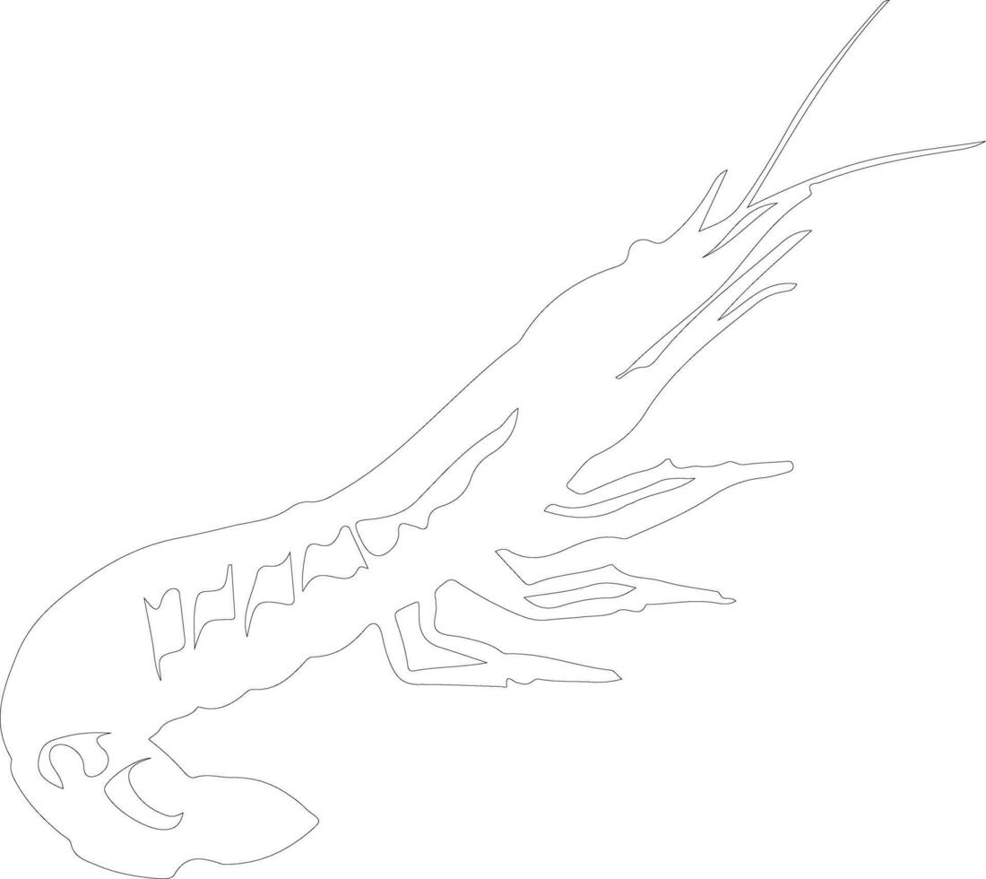 shrimp   outline silhouette vector