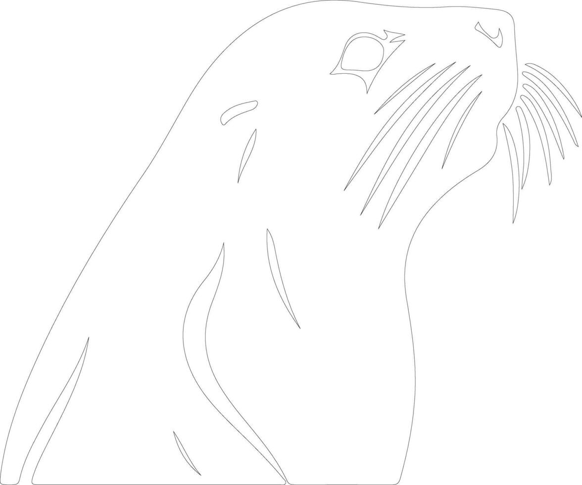 sealion   outline silhouette vector