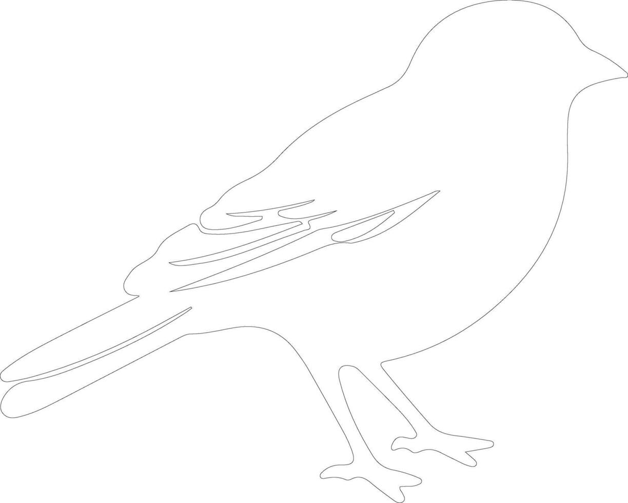 sparrow   outline silhouette vector