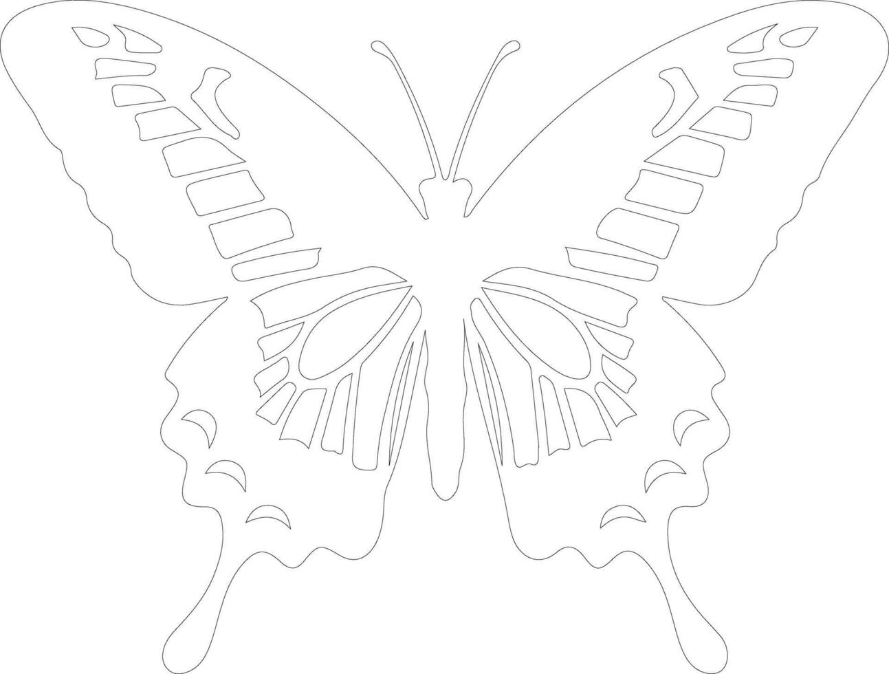 cola de golondrina mariposa contorno silueta vector