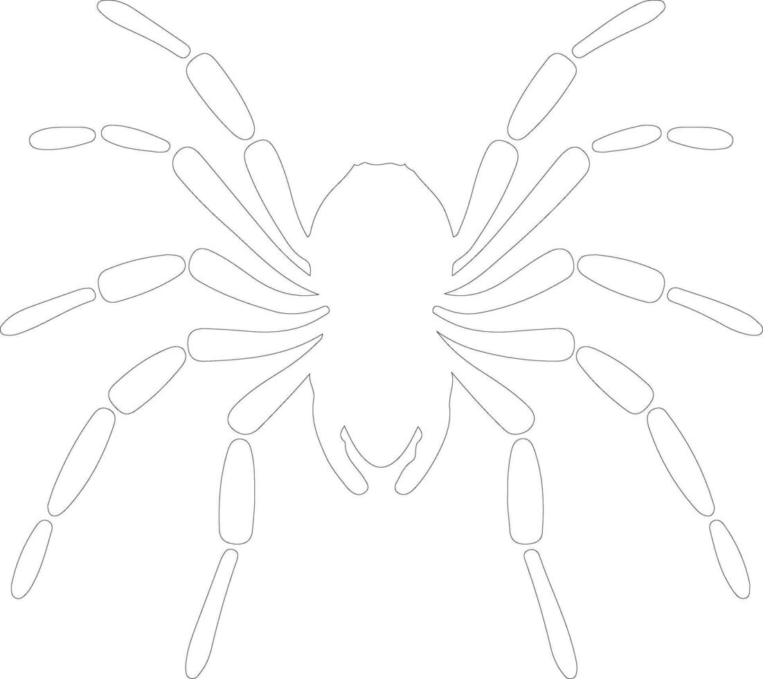tarantula   outline silhouette vector