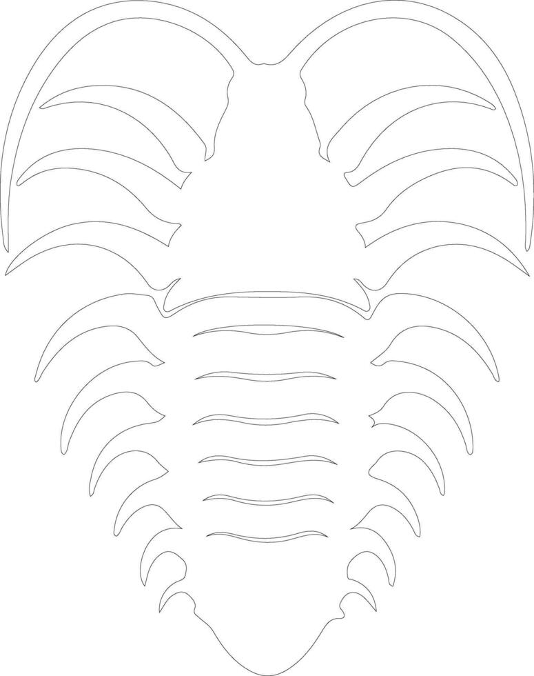 trilobite contorno silueta vector