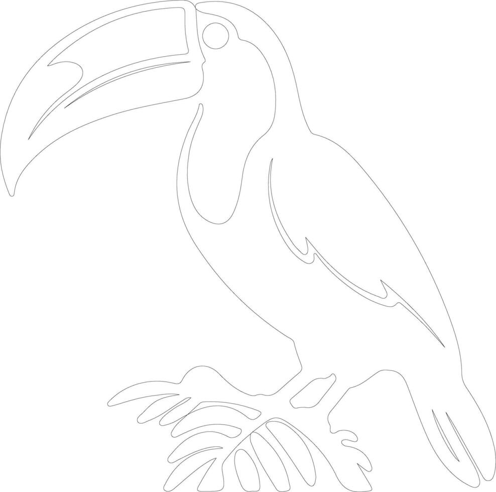 toucan   outline silhouette vector