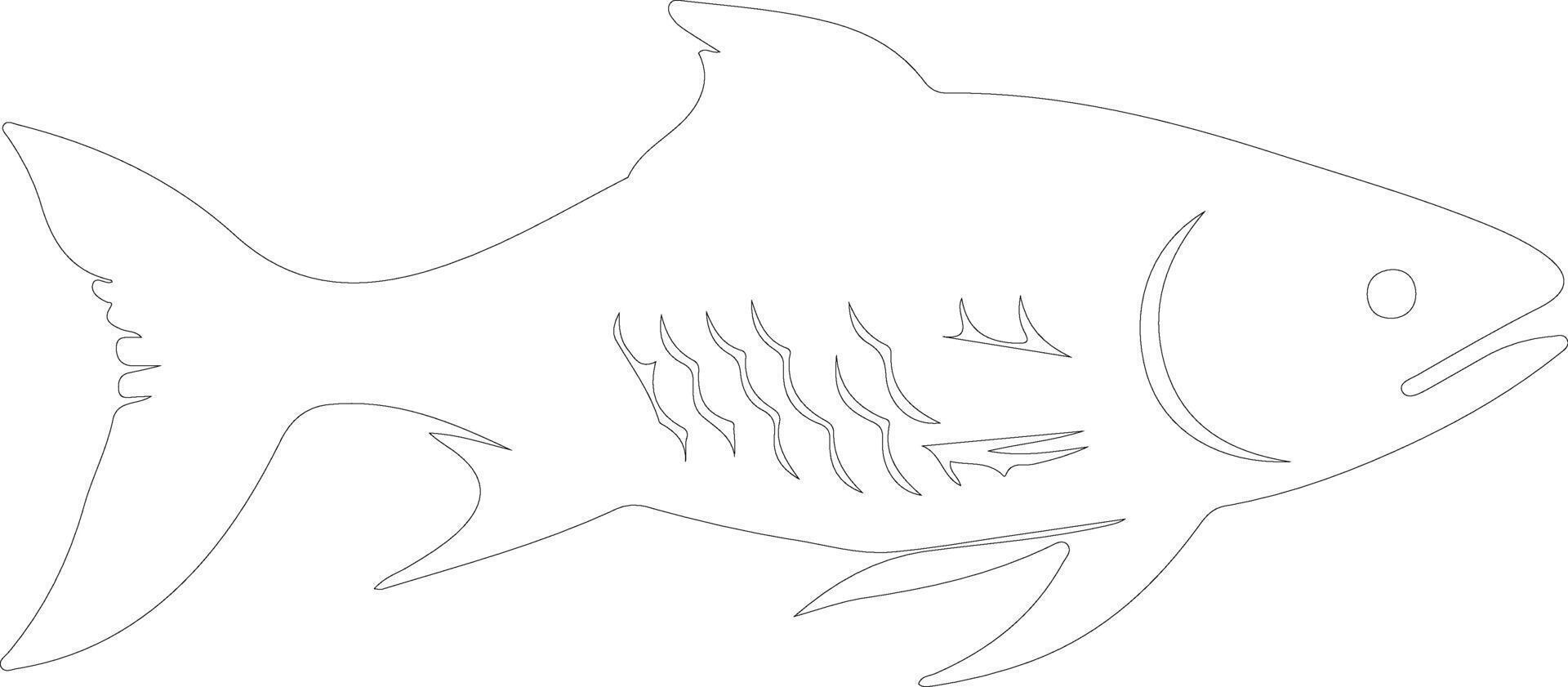 tarpon   outline silhouette vector