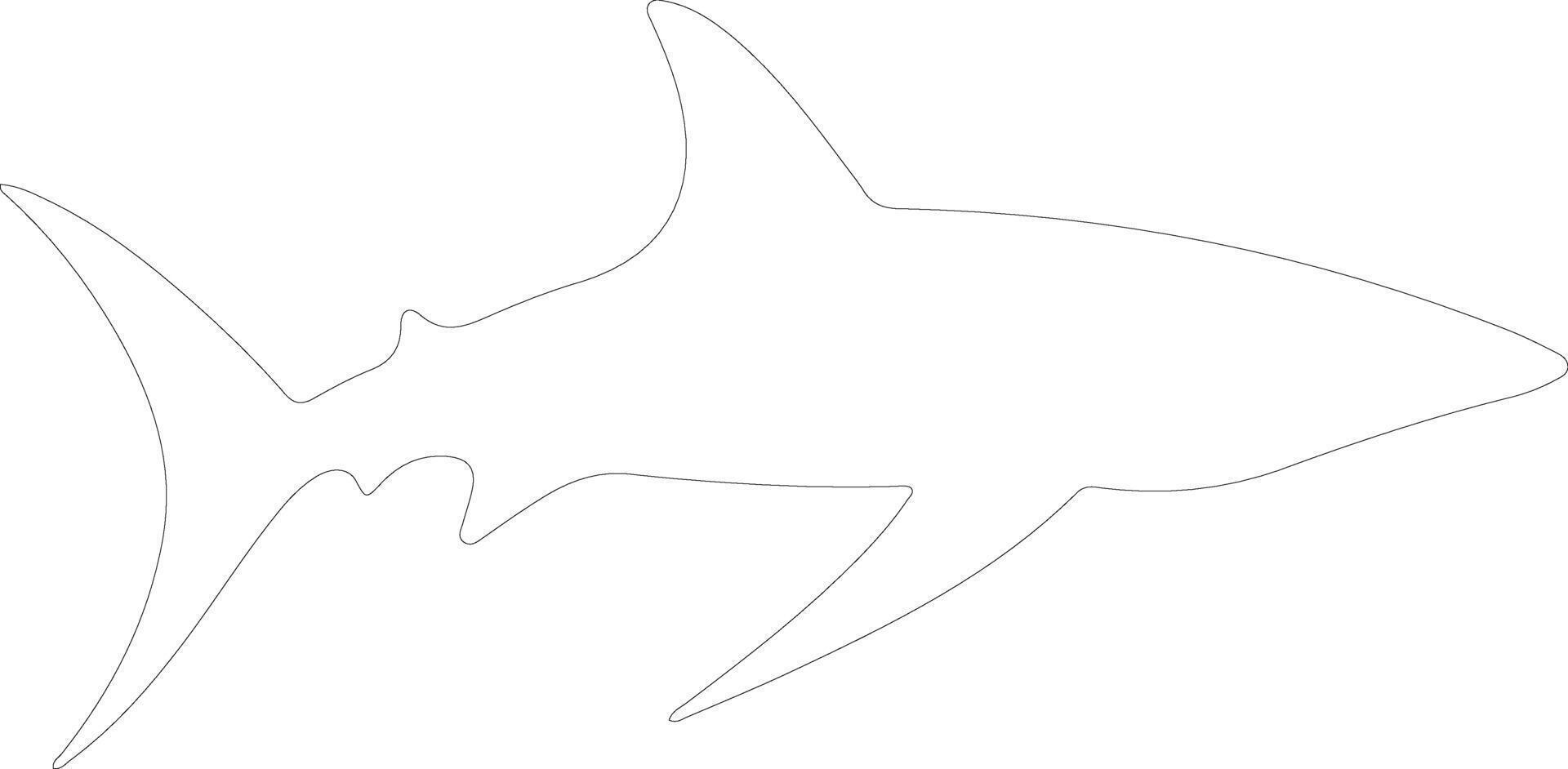 thresher shark   outline silhouette vector