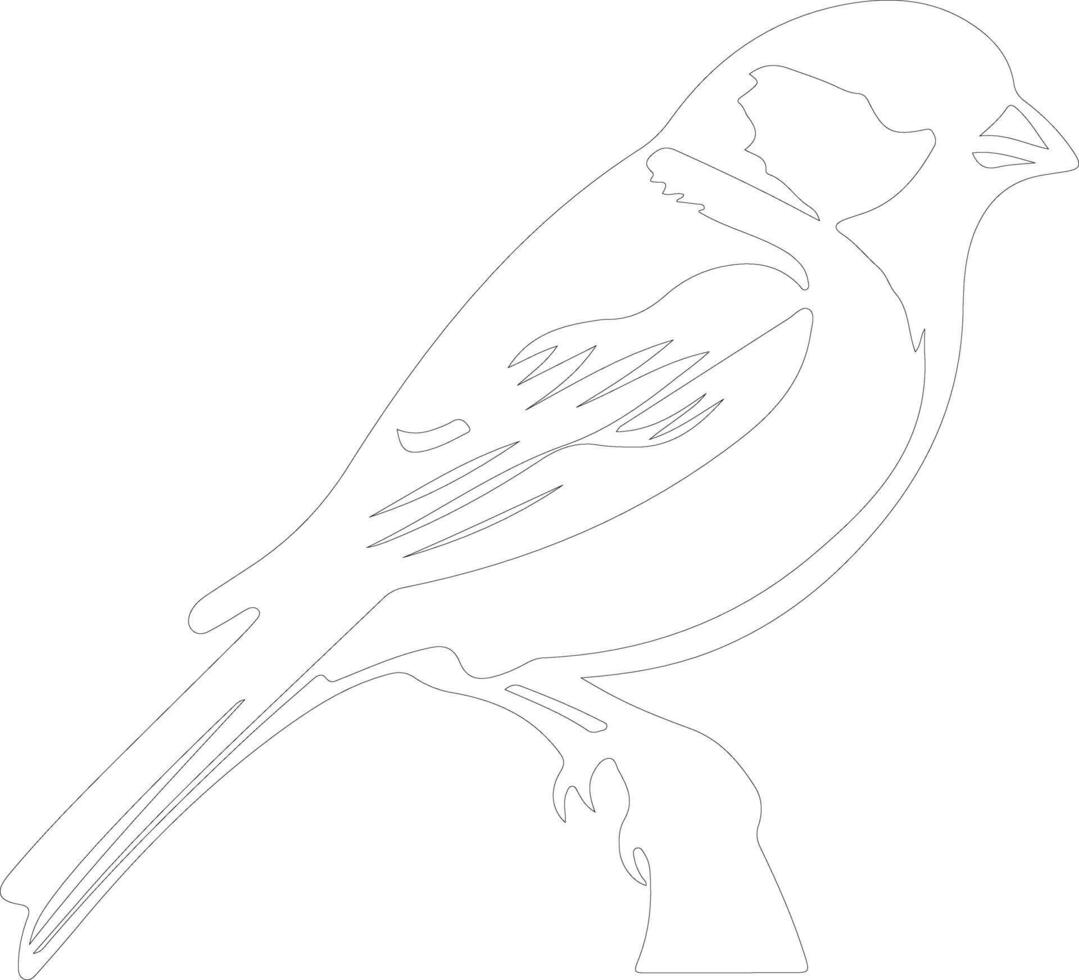tree sparrow   outline silhouette vector