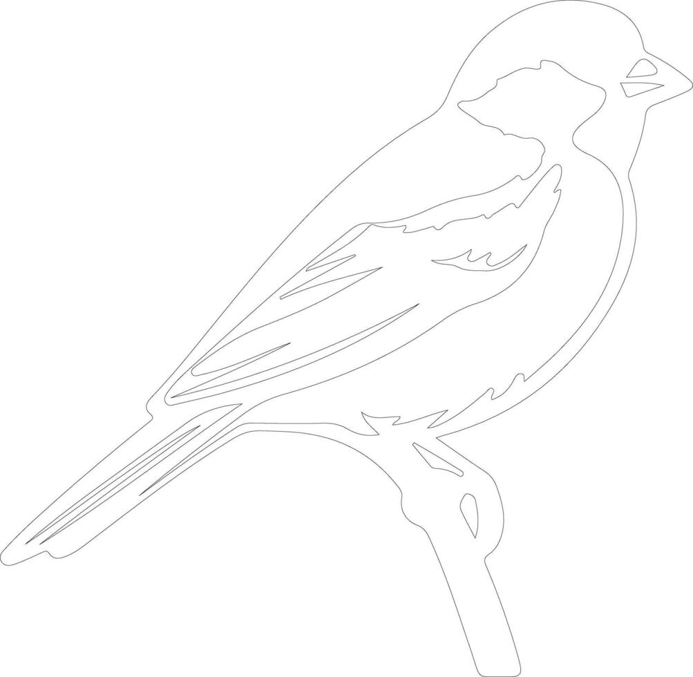 tree sparrow    outline silhouette vector