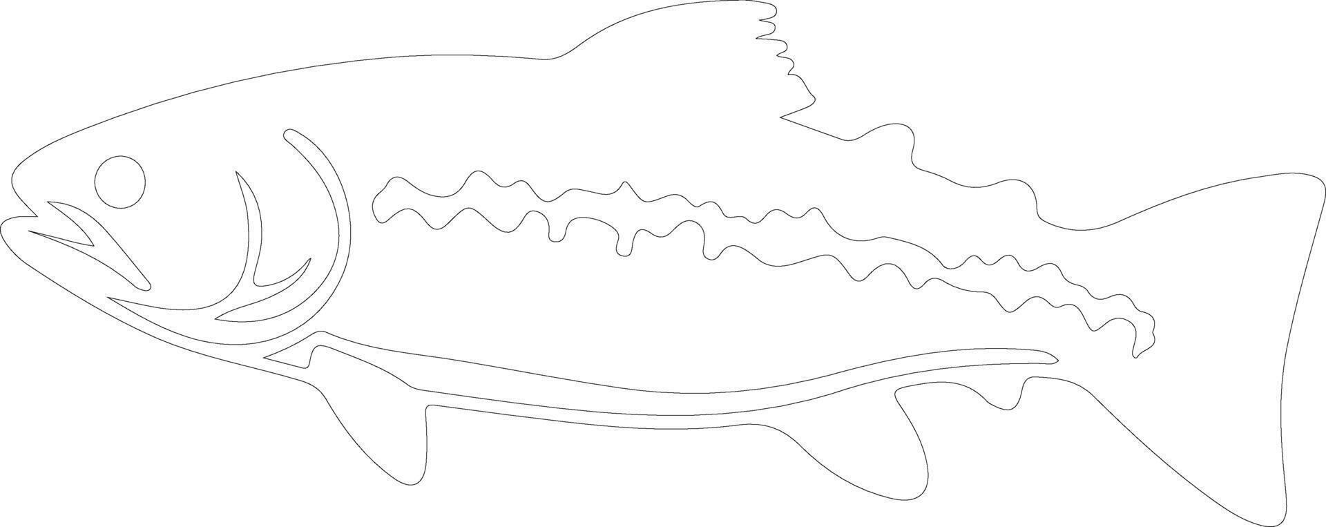 trout   outline silhouette vector