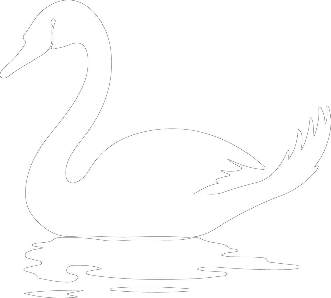 trumpeter swan   outline silhouette vector