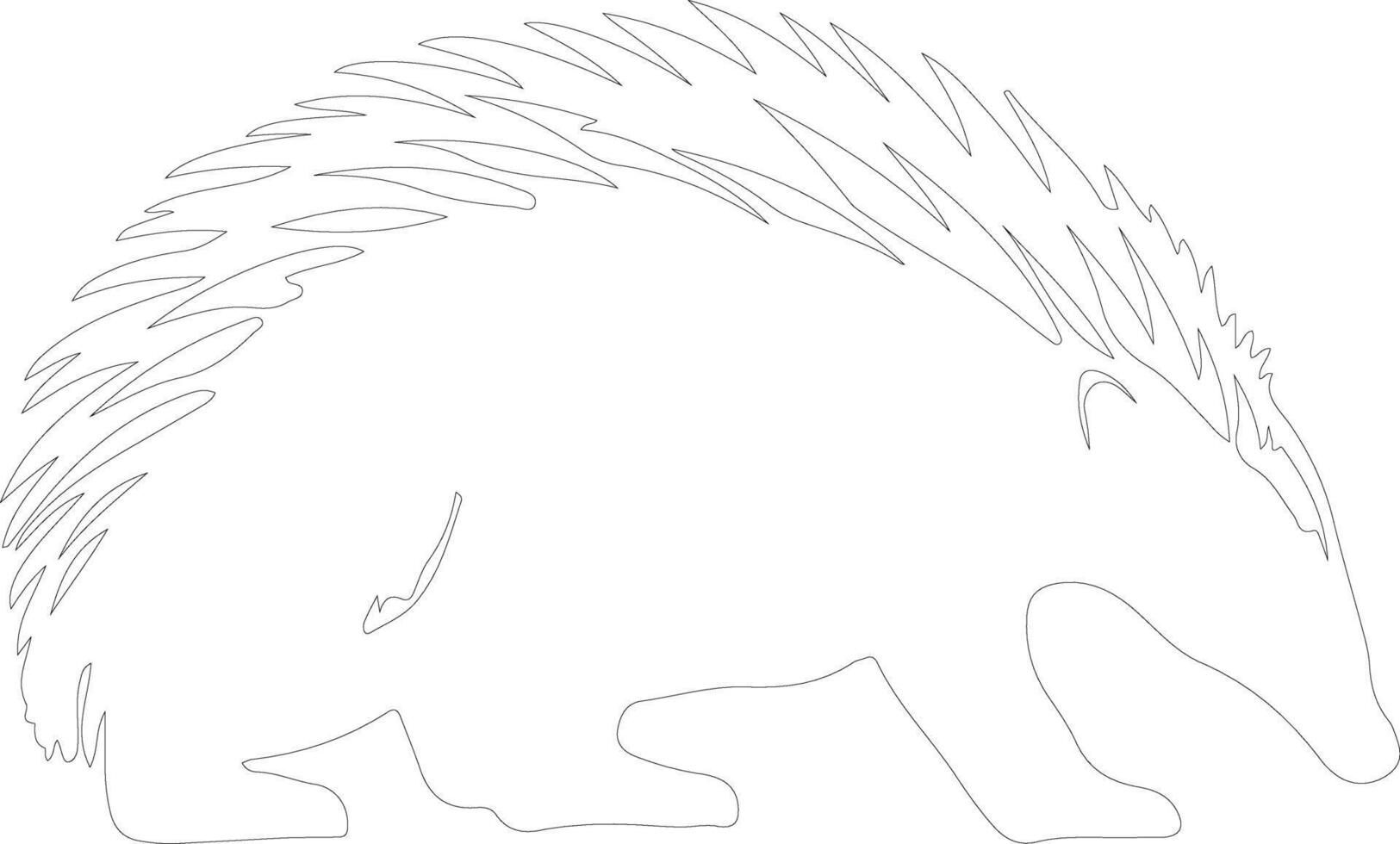 spiny anteater   outline silhouette vector