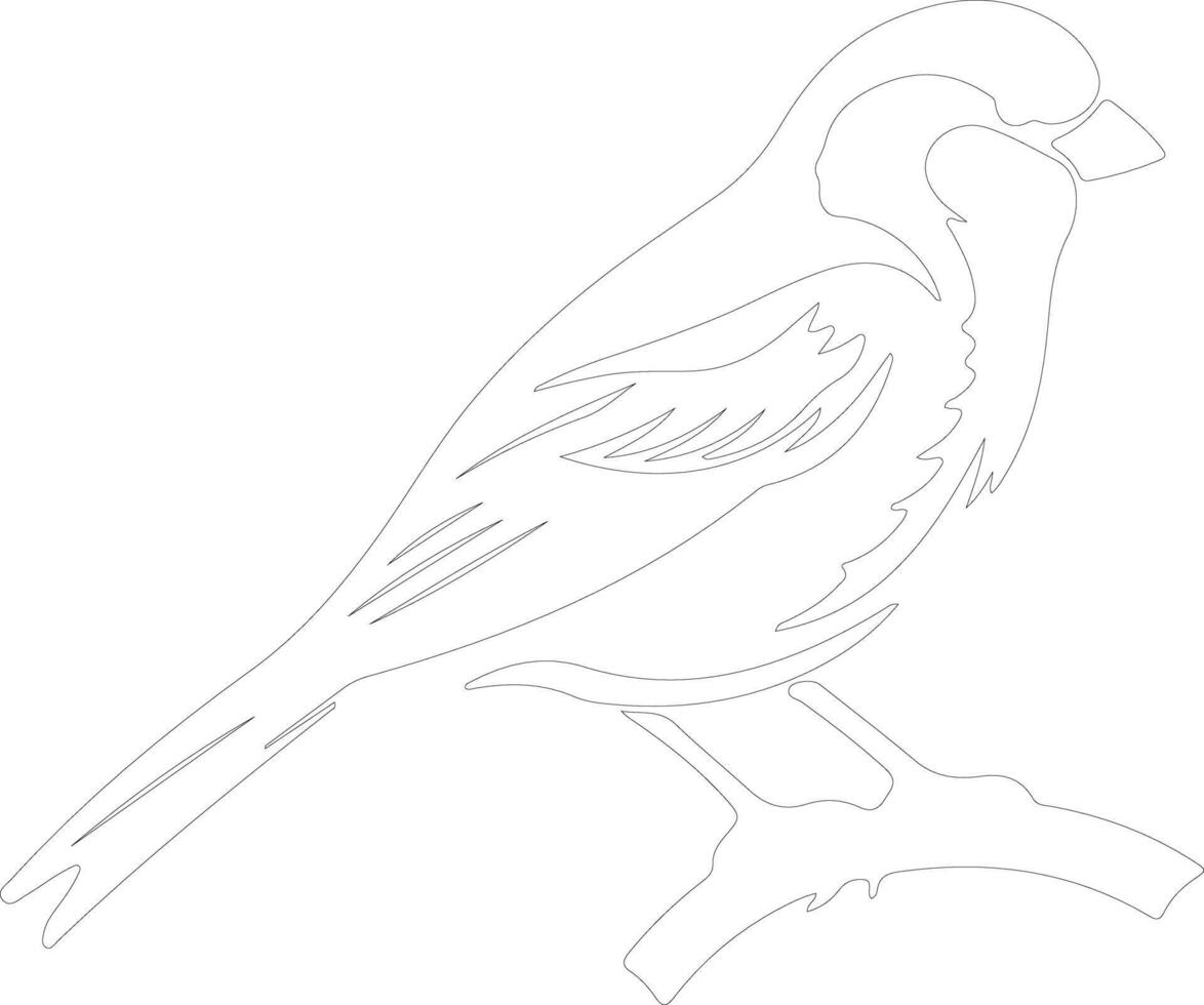 tree sparrow    outline silhouette vector