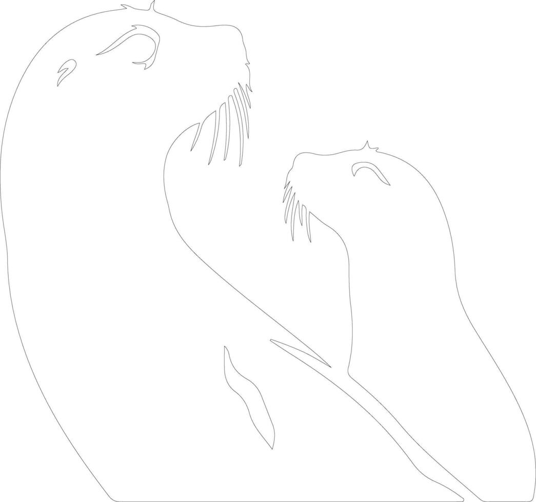 pinnipeds   outline silhouette vector