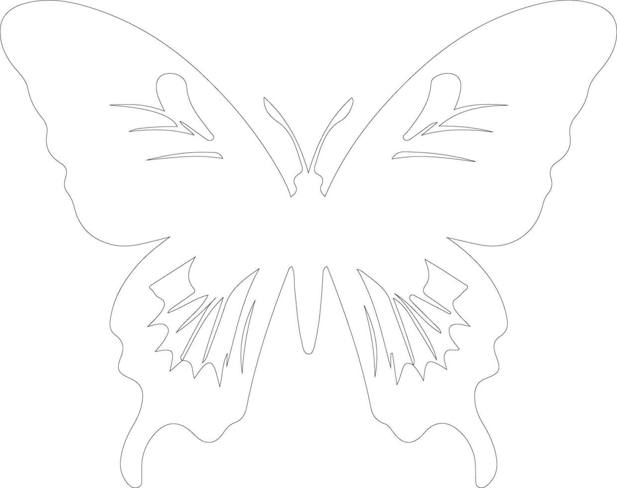 Queen Alexandras birdwing    outline silhouette vector