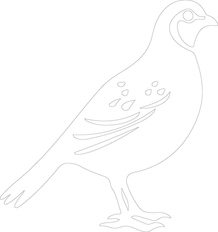quail    outline silhouette vector