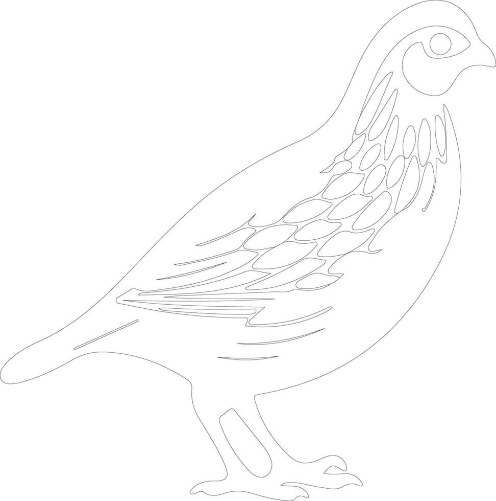 quail    outline silhouette vector