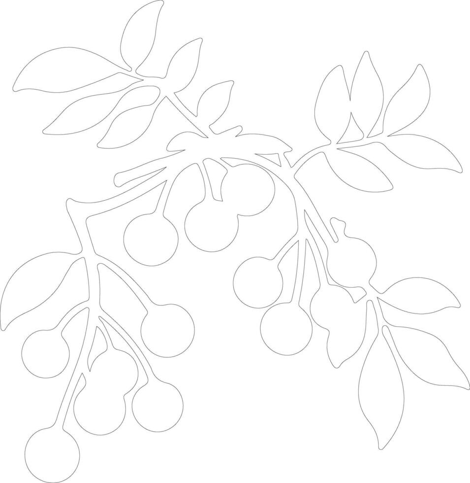 cranberry outline silhouette vector