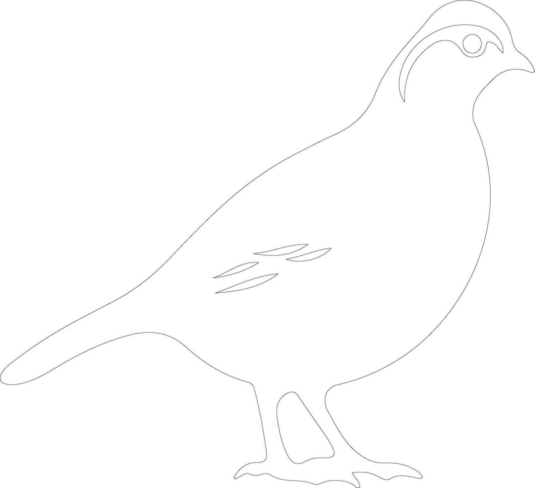 quail   outline silhouette vector