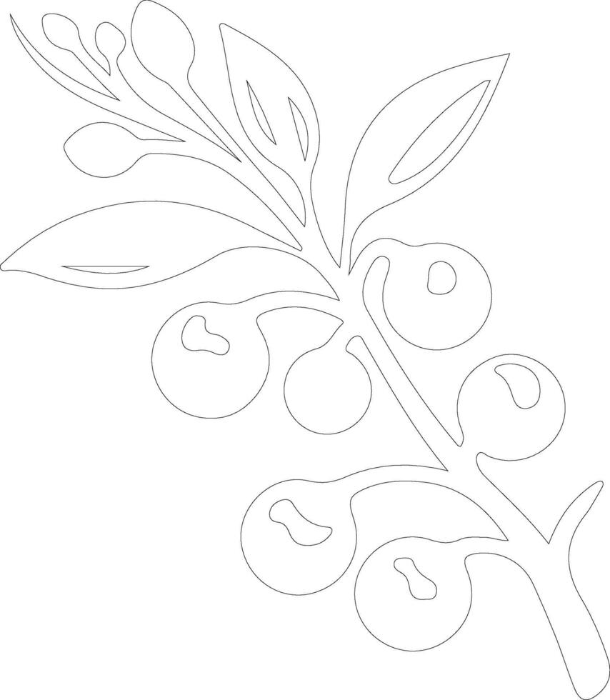 cranberry  outline silhouette vector