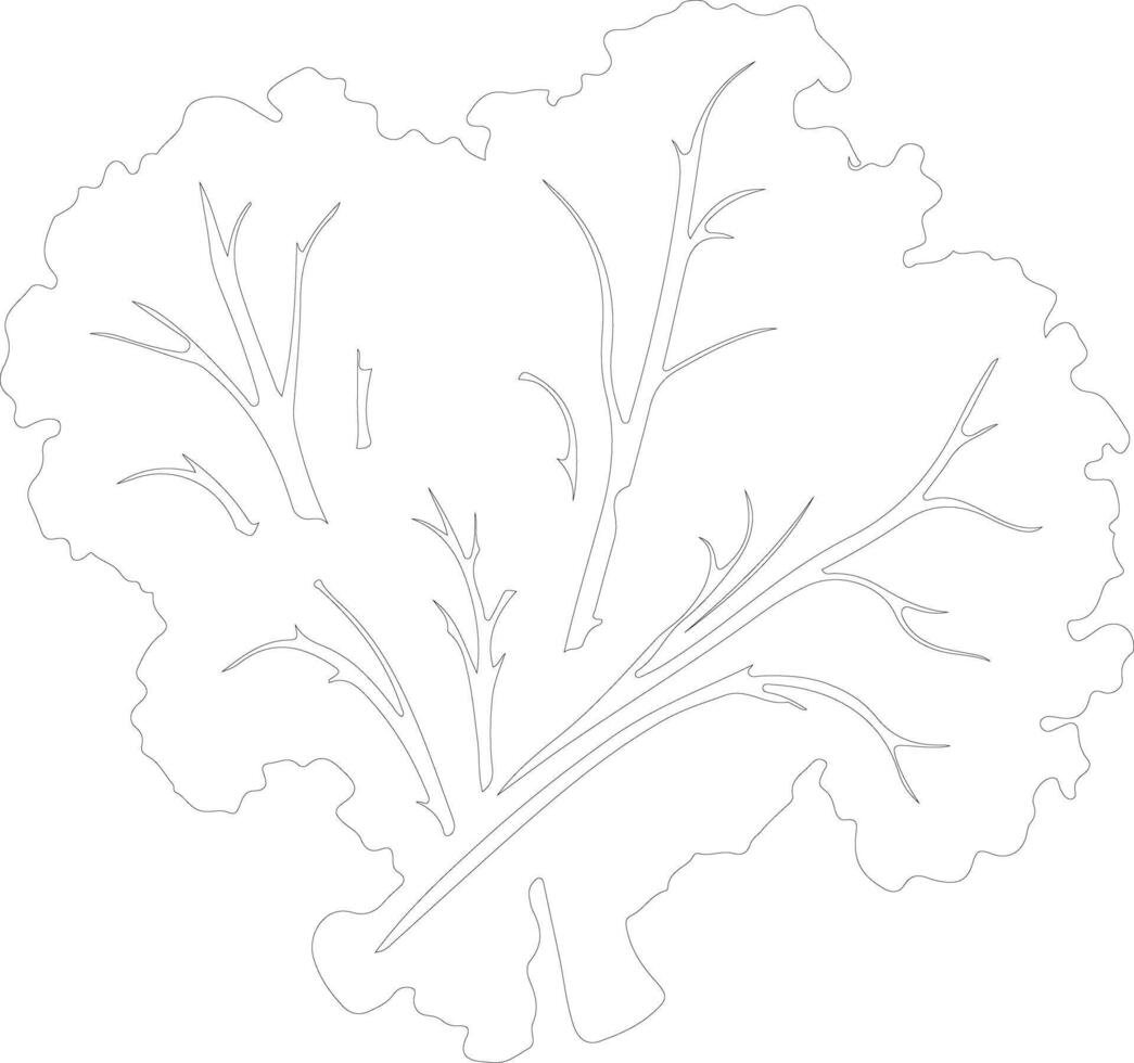 collard greens outline silhouette vector