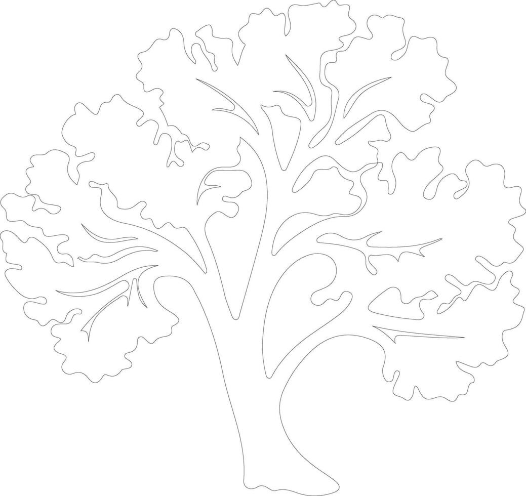 kale  outline silhouette vector