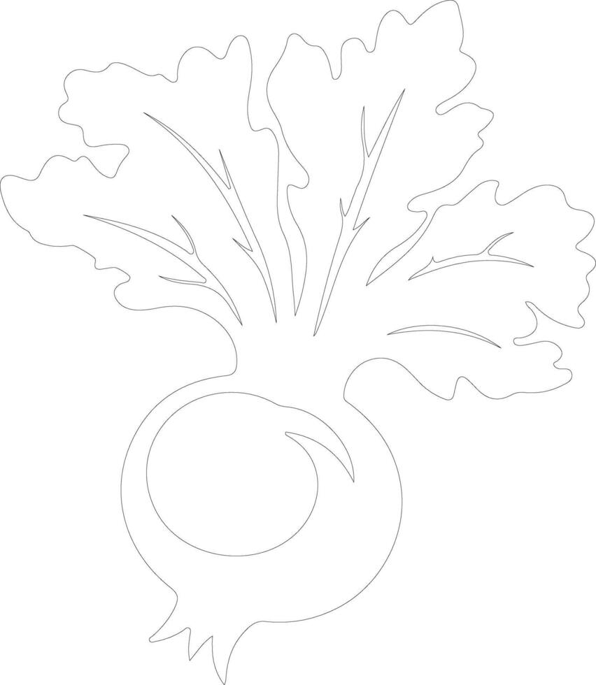 kohlrabi  outline silhouette vector