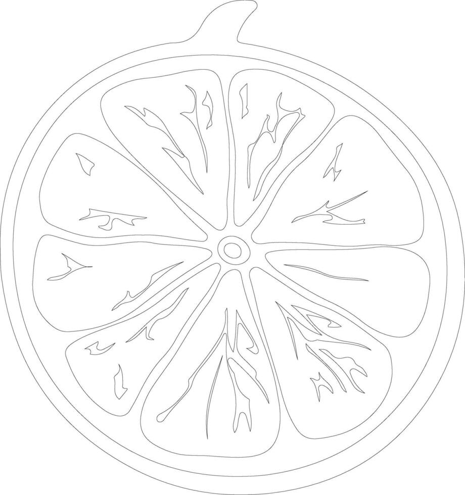 grapefruit  outline silhouette vector