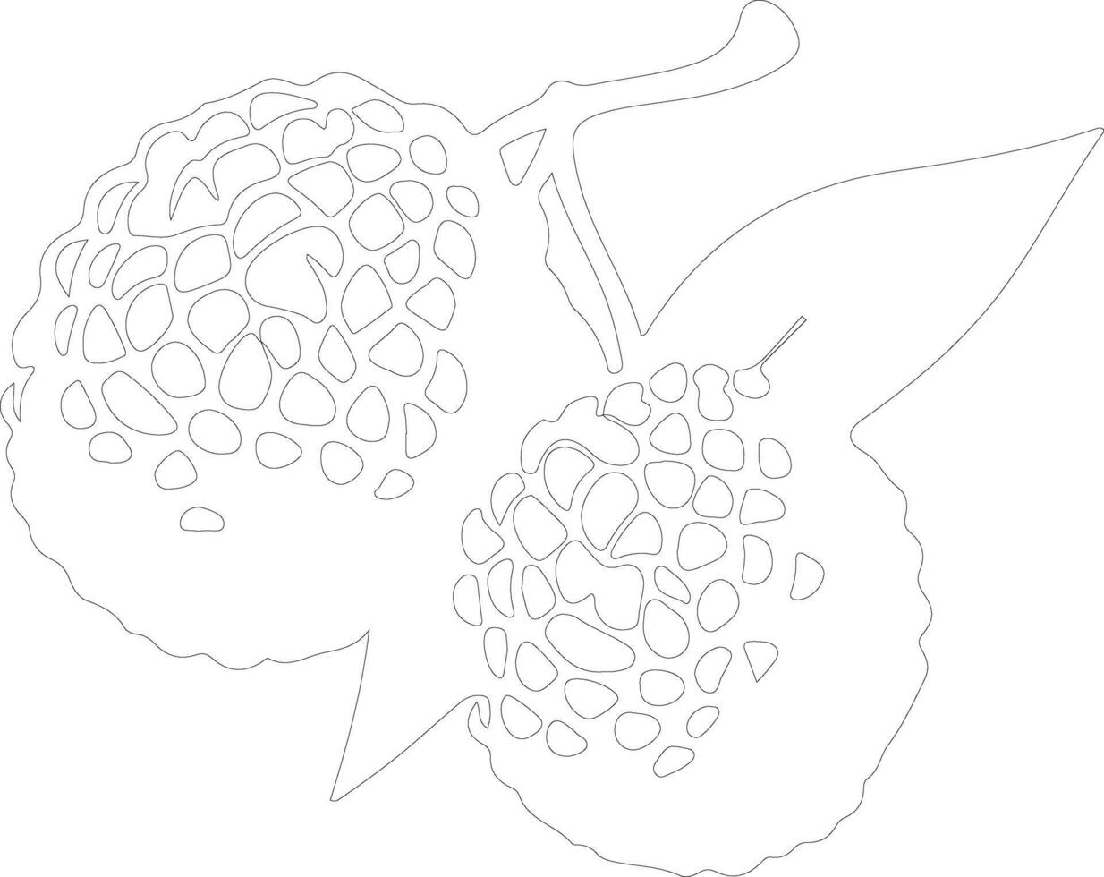 lychee  outline silhouette vector