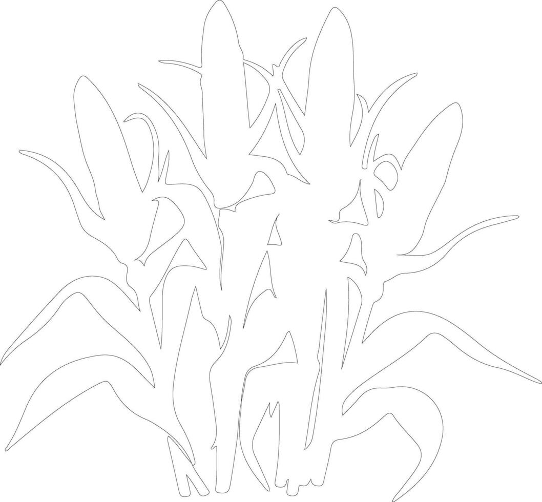 maize  outline silhouette vector