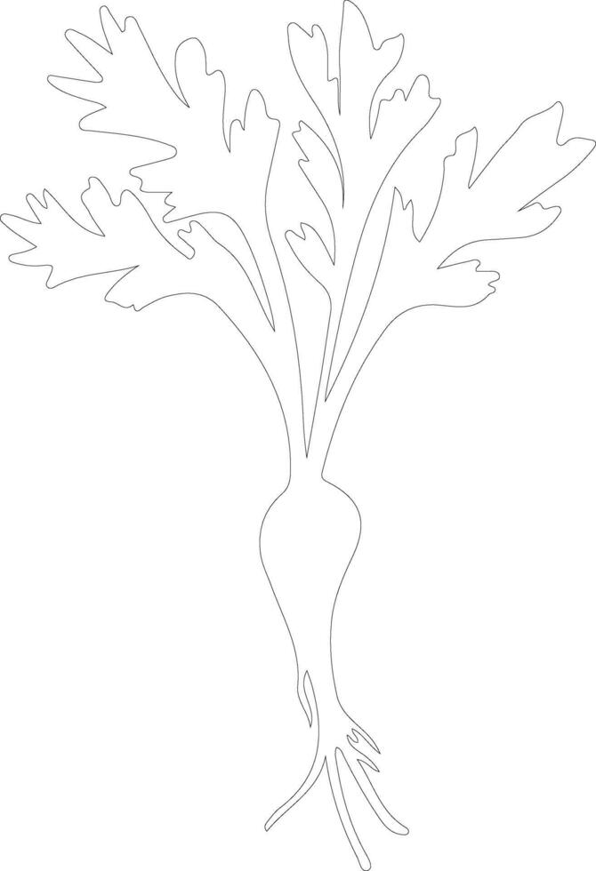 parsnip  outline silhouette vector