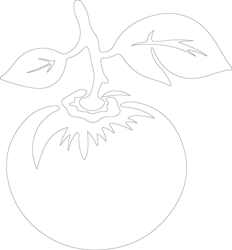 persimmon outline silhouette vector