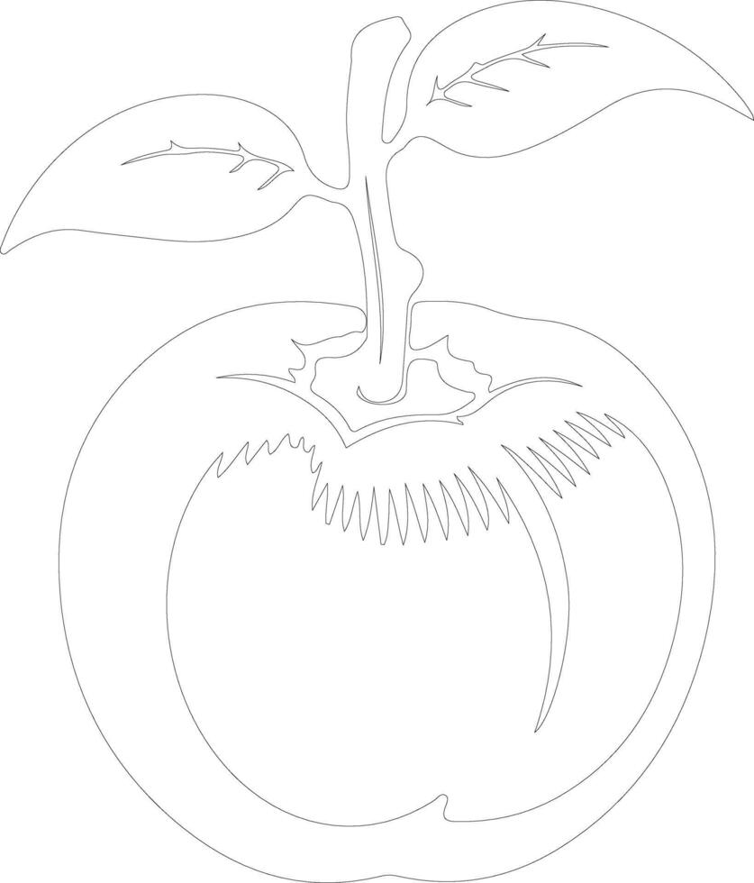 persimmon  outline silhouette vector