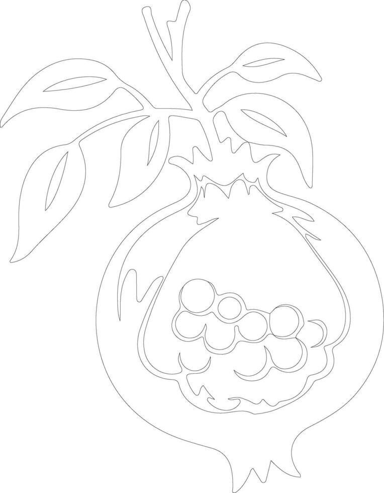 pomegranate  outline silhouette vector