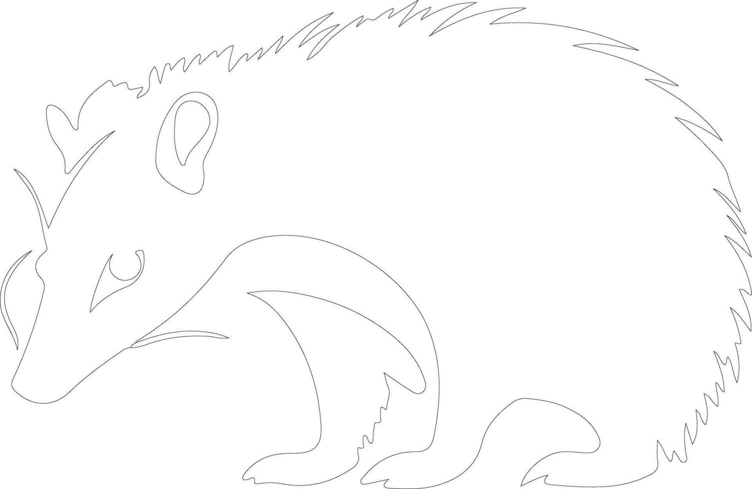 Virginia opossum  outline silhouette vector