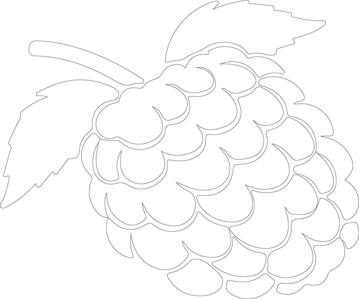 raspberry  outline silhouette vector