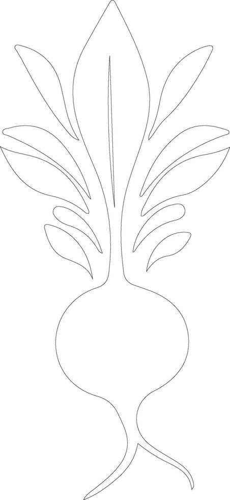 radish  outline silhouette vector